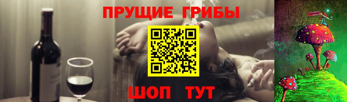 Югорск  Псилоцибиновые грибы MAGIC MUSHROOMS  Вход с VPN  Псилоцибиновые грибы Cubensis 