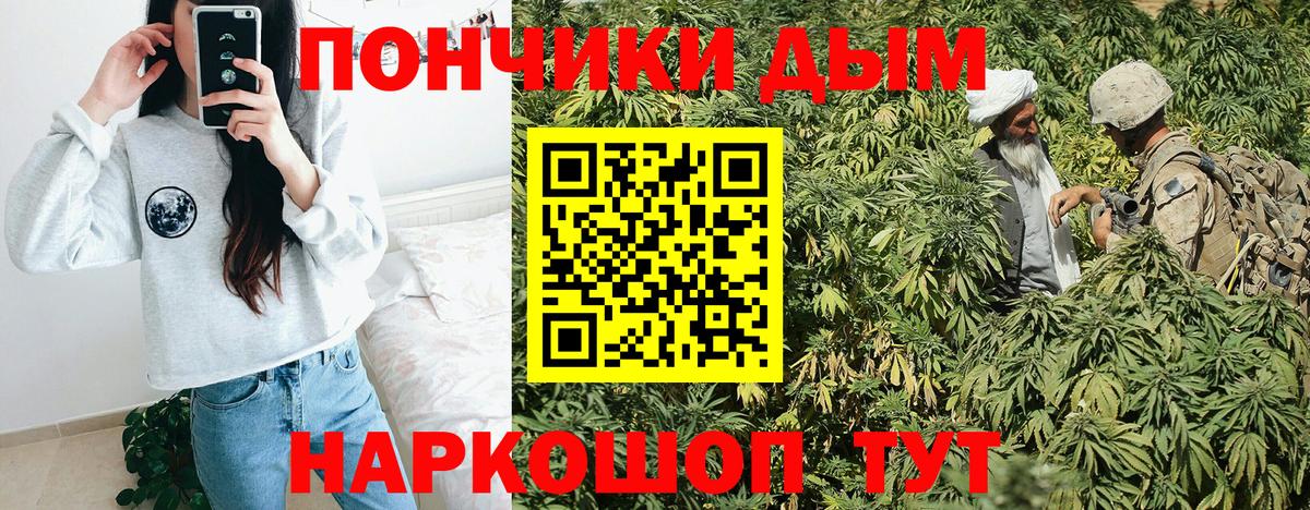 МАРИХУАНА сатива Югорск